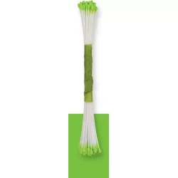 Pestíky limetkové 50 ks