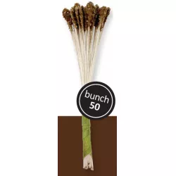 Pestíky – lilie hnědá 50 ks