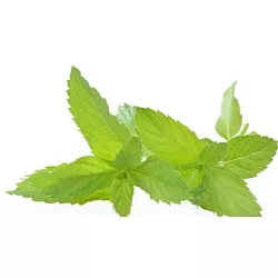 Ochucovací pasta Máta (200 g)