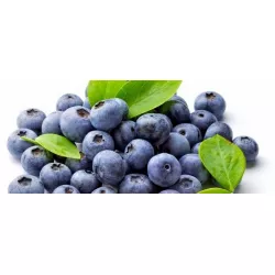 Ochucovací pasta Borůvka (200 g)