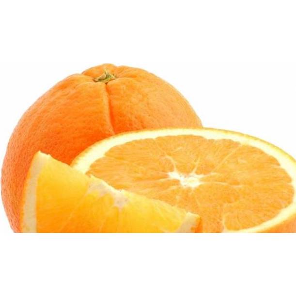 Ochucovací pasta 1kg compound pomeranč
