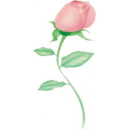 Stencil pro airbrush růže
