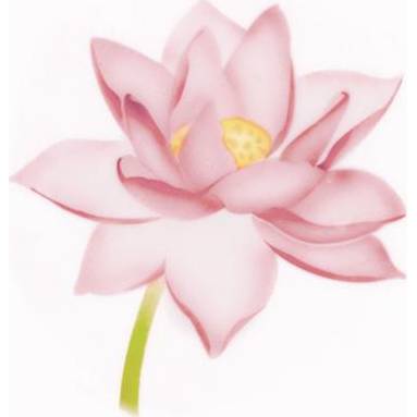 Stencil pro airbrush lotus