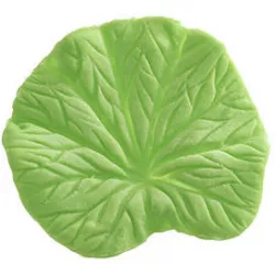 Žilkovač list Foglia 53x54mm