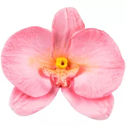 Forma na orchidej 92x60mm