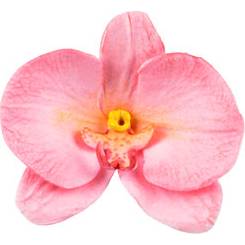 Forma na orchidej 92x60mm