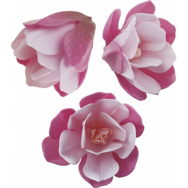 Jedlá kytka Magnolie z jedlého papíru 7cm 3ks