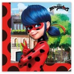 Ubrousky 33x33cm Lady Bag