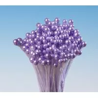 Pestíky fialové svazek