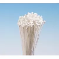 Pestíky bílé svazek