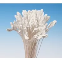 Pestíky Lilie bílé svazek