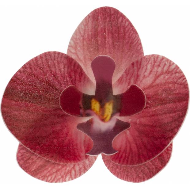 Květy z jedlého papíru orchidej růžová 10ks