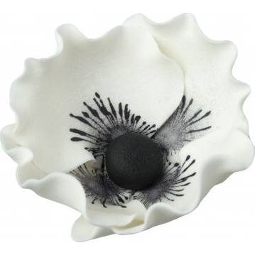 Cukrová dekorace květ vlčí mák 6ks8cm bílý květ