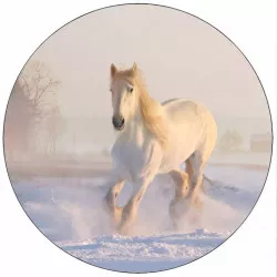 Jedlý papír bílý kůň ve sněhu 19,5 cm