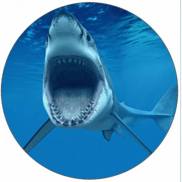 Jedlý papír žralok s otevřenou tlamou 19,5 cm
