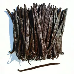 Exkluzivní vanilkový lusk z Ugandy 250g