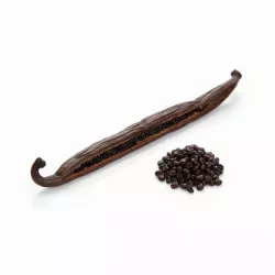 Vanilkový lusk Bourbon – Gourmet 1ks / Grade A (16 cm +) - I LOVE CAKES