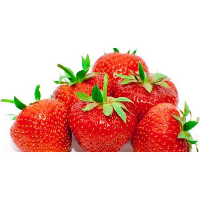 Farcitura - zrcadlová poleva IRCA Jahoda (250 g) dortis